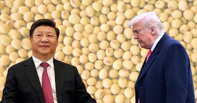 अब अमेरिकी सोयाबीन चीन के लिए मजबूरी नहीं. 