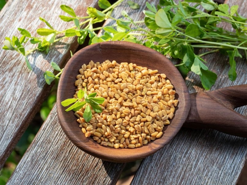 who should not drink fenugreek water, fenugreek water side effects on health, fenugreek for thyroid and diabetes caution, is fenugreek safe during pregnancy, ayurvedic uses and risks of fenugreek water, how to drink fenugreek water safely, मेथी का पानी पीने के नुकसान, किन लोगों को नहीं पीना चाहिए मेथी का पानी, थायरॉइड और प्रेग्नेंसी में मेथी का असर, मेथी वाटर के साइड इफेक्ट्स और सावधानियां
