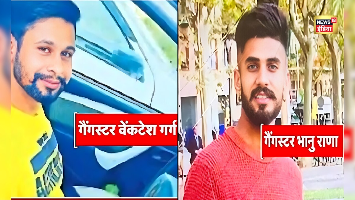 Gangster News: लॉरेंस गैंग का खूंखार अपराधी अमेरिका में गिरफ्तार,हरियाणा में होगी कड़ी पूछताछ