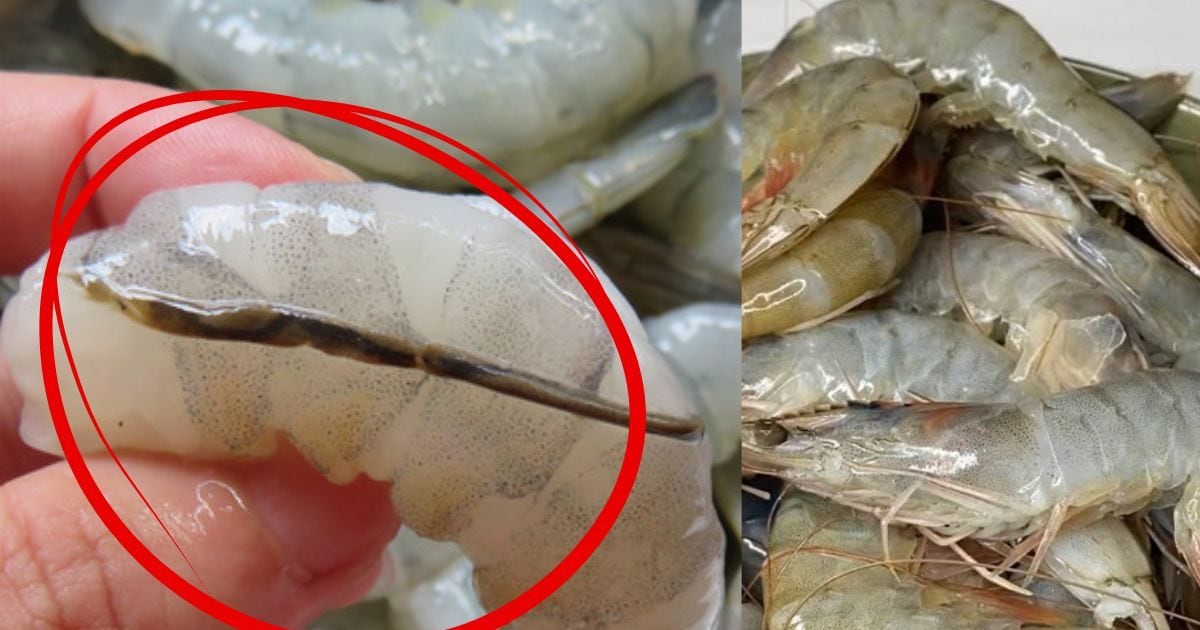 सुनो! क्या आप झींगा को उसकी काली नस निकाले बिना पकाते हैं? मत दोहराइए ऐसी गलती