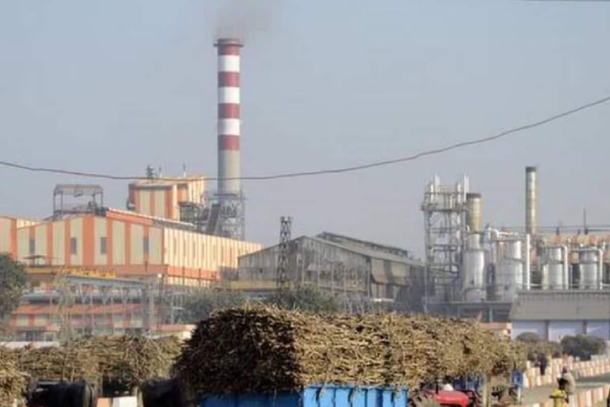 VIDEO: पहली कैबिनेट में गन्ना किसानों की बल्ले-बल्ले! बिहार में बंद 9 चीनी मिलें होंगी चालू