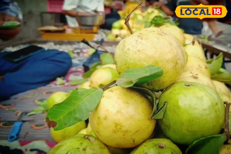 Benefits of eating guava in winter