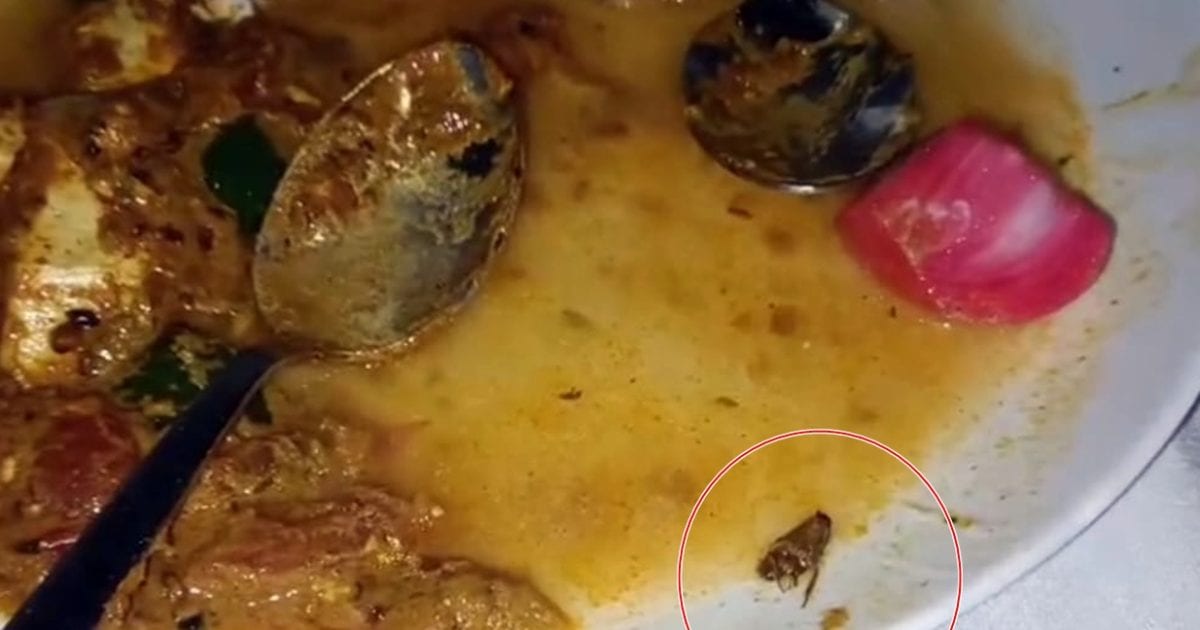 हिमाचल के बद्दी में होटल में खाने में निकला कॉकरोच, मैनेजर ने आरोप नकारे