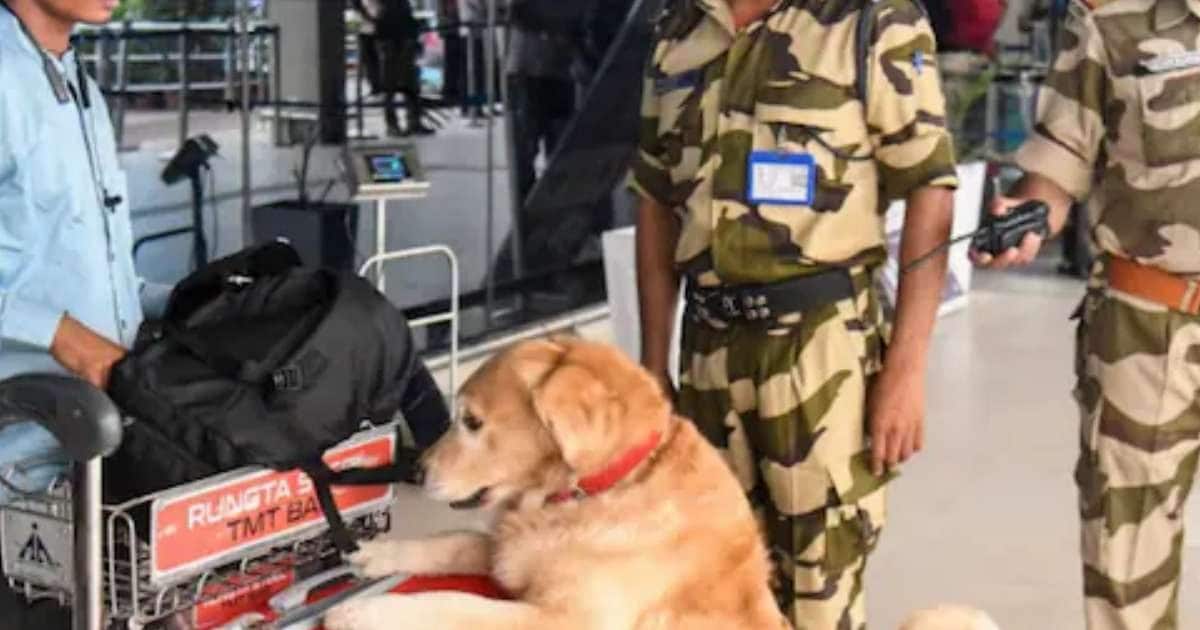 सूटकेस संग लैंड हुए युवक, बैग खोलते ही मची अफरा-तफरी, दौड़े-दौड़े पहुंचे अफसर