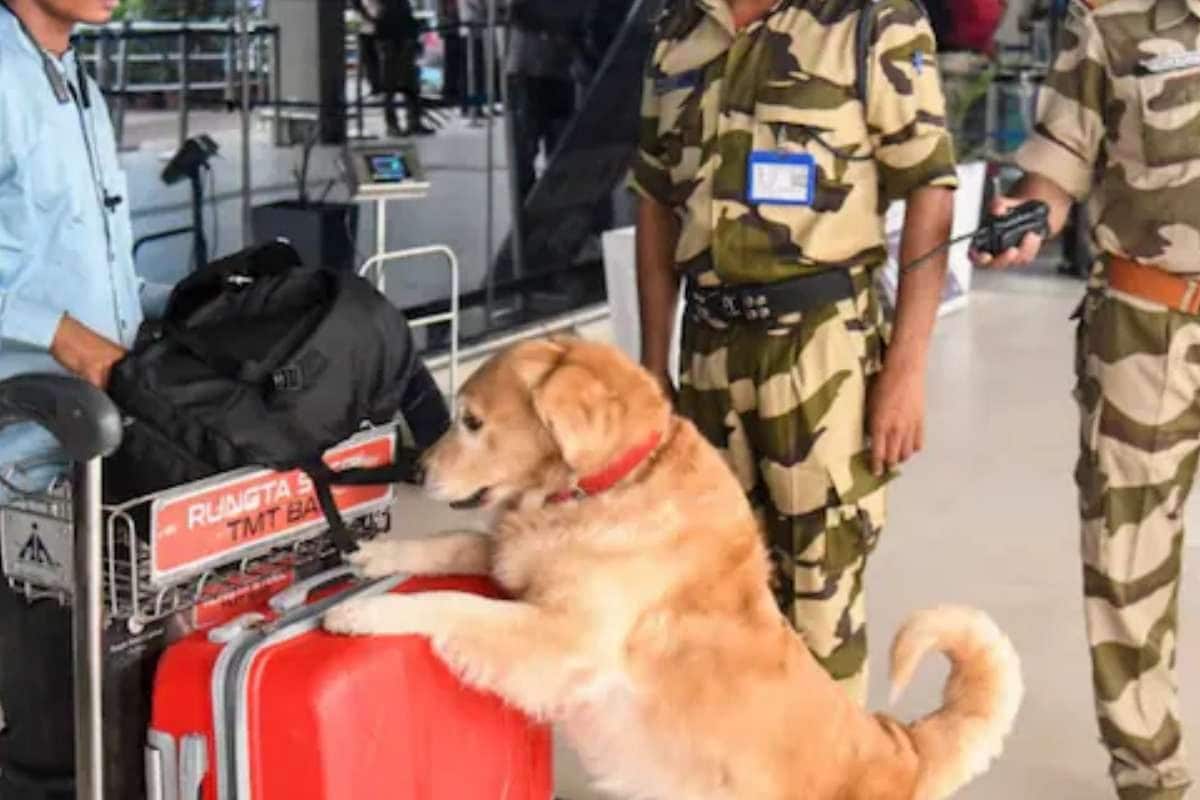 सूटकेस संग लैंड हुए युवक बैग खोलते ही मची अफरा-तफरी दौड़े-दौड़े पहुंचे अफसर