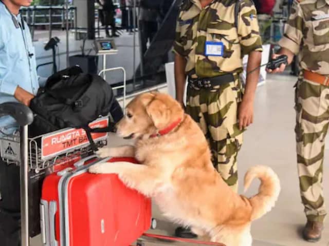 सूटकेस संग लैंड हुए युवक, बैग खोलते ही मची अफरा-तफरी, दौड़े-दौड़े पहुंचे अफसर