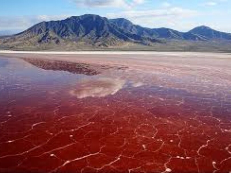 Lake Natron, deadly lake, Tanzania red lake, flamingos, mysterious lake, लेक नैटरॉन, तंजानिया की लाल झील, जानलेवा झील, फ्लेमिंगो पक्षी, रहस्यमयी झील
