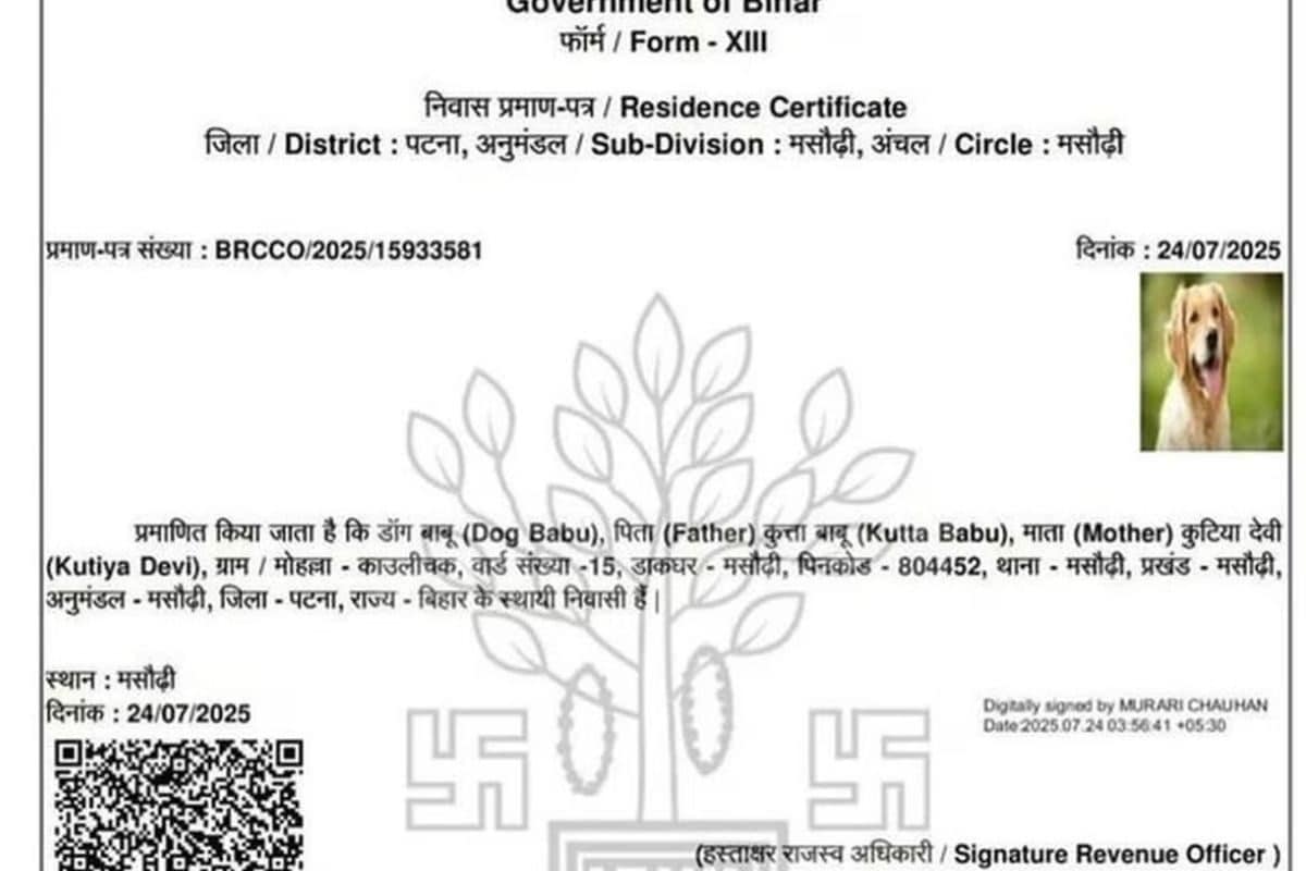 वोटर लिस्ट में ‘कुत्ते-बिल्ली’ नहीं दिखेंगे! असम में BLO को मिला अनोखा टास्क