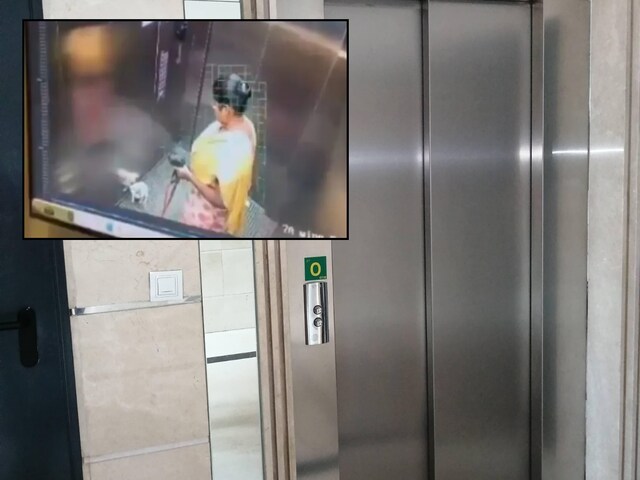 लिफ्ट में किया दिल दहला देने वाला काम, पालतू कुत्ते के साथ...CCTV में घटना कैद