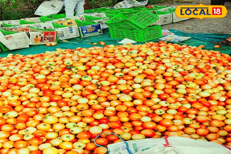 खरपतवार निकलते रहे खरपतवार निकलते रहे