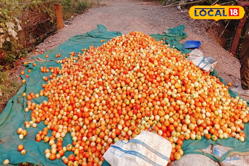 दूसरे राज्यों से भी आते व्यापारी दूसरे राज्यों से भी आते व्यापारी