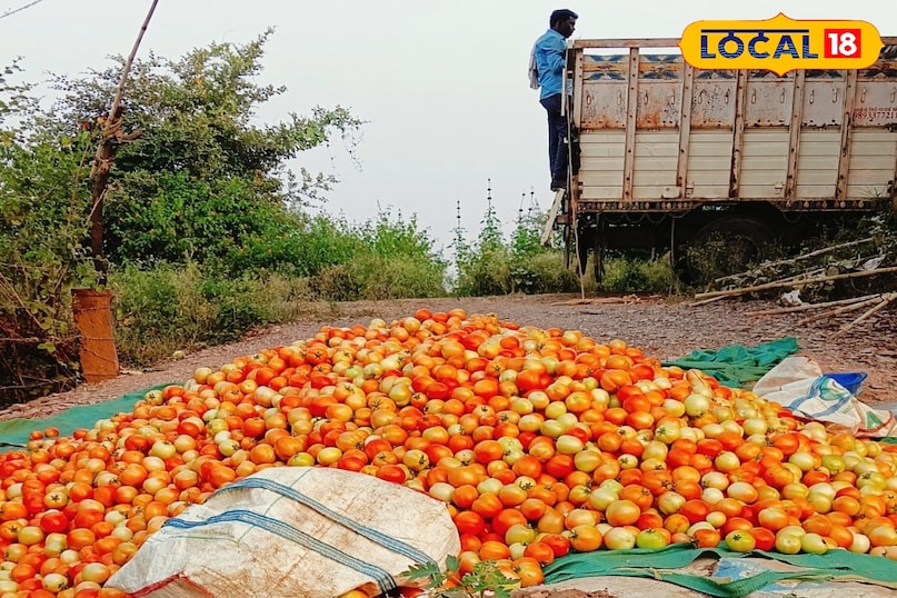 नवंबर का महीना भी बेस्ट नवंबर का महीना भी बेस्ट