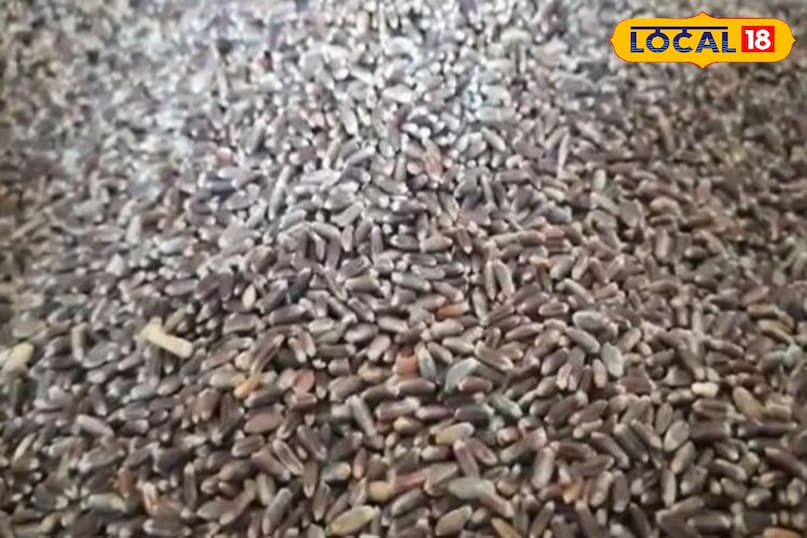 स्वस्थ रहने घर पर भी कर सकते इस्तेमाल