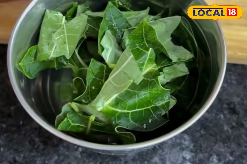 पपीते के पत्ते