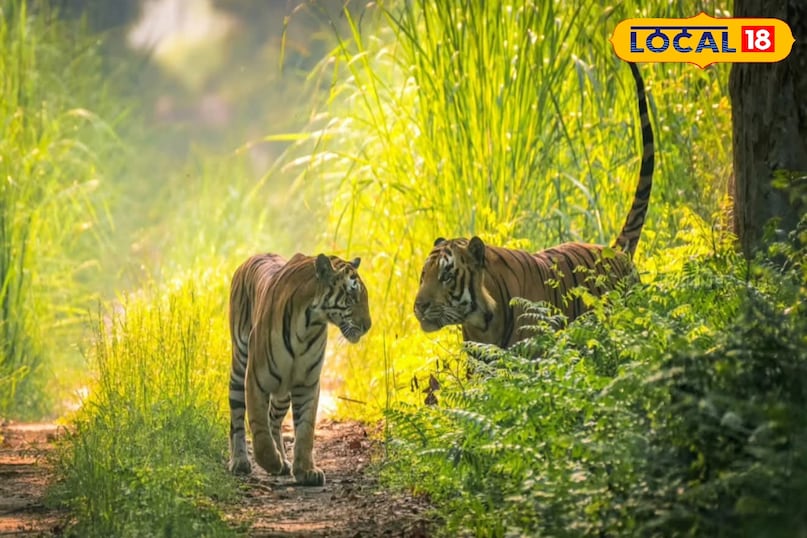 दुधवा दुधवा