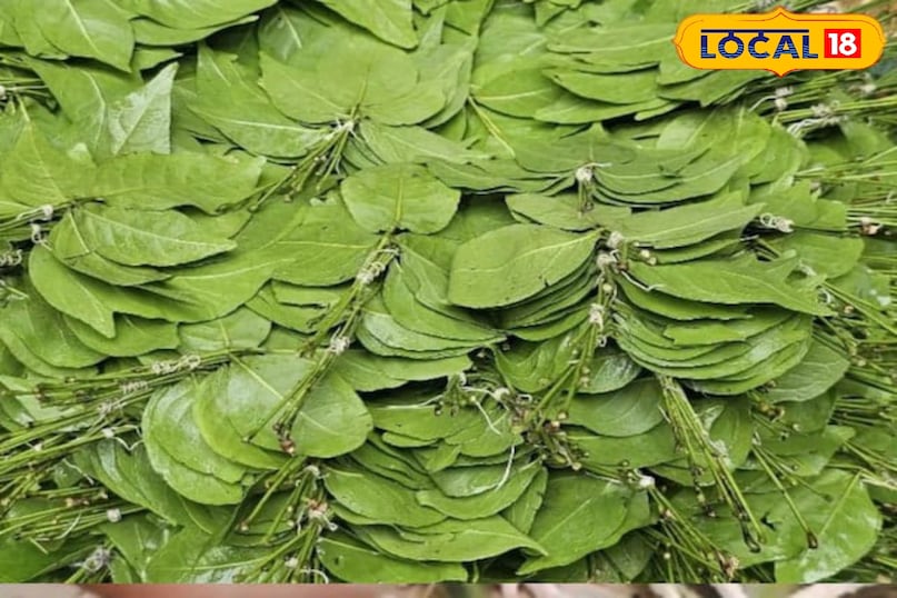 Moradabad news,hindi news, local news, up news, मुरादाबाद समाचार,हिंदी समाचार,लोकल समाचार,यूपी समाचार। Moradabad news,hindi news, local news, up news, मुरादाबाद समाचार,हिंदी समाचार,लोकल समाचार,यूपी समाचार।