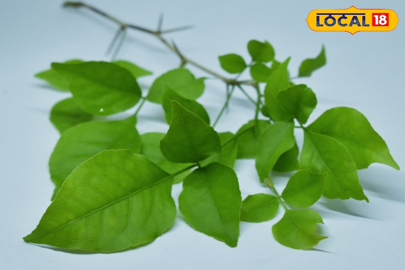 Moradabad news,hindi news, local news, up news, मुरादाबाद समाचार,हिंदी समाचार,लोकल समाचार,यूपी समाचार। Moradabad news,hindi news, local news, up news, मुरादाबाद समाचार,हिंदी समाचार,लोकल समाचार,यूपी समाचार।