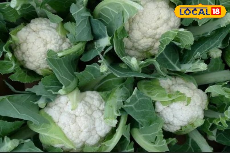 फूलगोभी फूलगोभी एक प्रमुख ठंडे मौसम की फसल है जो शरद ऋतु में हल्के तापमान पर सबसे अच्छी बढ़ती है। इसके घने, सफेद और स्वच्छ फूल (हैड) की बाजार में विशेष पहचान और मांग है। मौसम के बाहर (ऑफ-सीजन) में इसकी कीमतें काफी बढ़ जाती हैं, जिससे किसानों को अतिरिक्त लाभ होता है। फूलगोभी फूलगोभी एक प्रमुख ठंडे मौसम की फसल है जो शरद ऋतु में हल्के तापमान पर सबसे अच्छी बढ़ती है। इसके घने, सफेद और स्वच्छ फूल (हैड) की बाजार में विशेष पहचान और मांग है। मौसम के बाहर (ऑफ-सीजन) में इसकी कीमतें काफी बढ़ जाती हैं, जिससे किसानों को अतिरिक्त लाभ होता है।