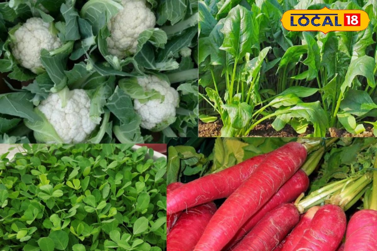 किसान बनेंगे लखपति! शरद ऋतु में उगाएं ये फसलें और हर महीने कमाएं लाखों रुपये