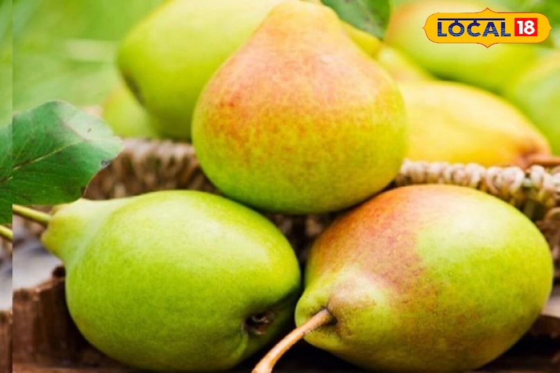 नाशपाती 