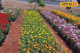 बागवानी या नर्सरी शुरू करना चाहते हैं? यहां से लें फ्री एक्सपर्ट टिप्स