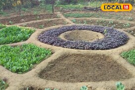 सिर्फ 1 डिसमिल में उगाएं 10 से ज्यादा सब्जियां! कृषि वैज्ञानिक से जानें तरीका