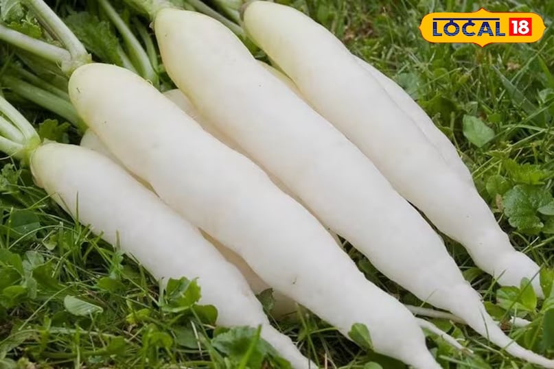 मूली  मूली