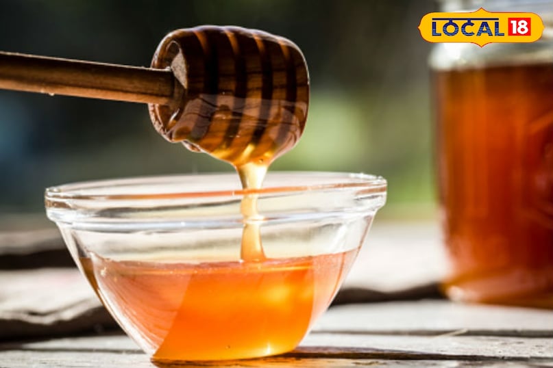 Moradabad news,hindi news,up news,local news, मुरादाबाद समाचार, हिंदी समाचार, यूपी समाचार, लोकल समाचार।