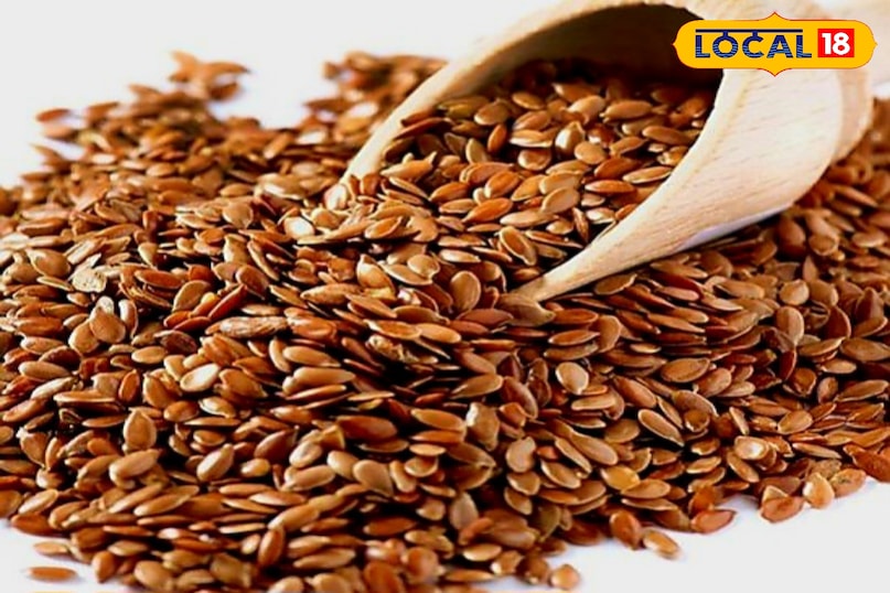 अलसी अलसी