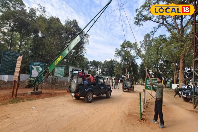 बारनवापारा अभयारण्य: हरियाली के बीच फिर से गूंजा जंगल, शुरू हुई रोमांचक लेपर्ड सफारी 