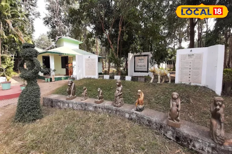 बारनवापारा अभयारण्य: हरियाली के बीच फिर से गूंजा जंगल, शुरू हुई रोमांचक लेपर्ड सफारी 