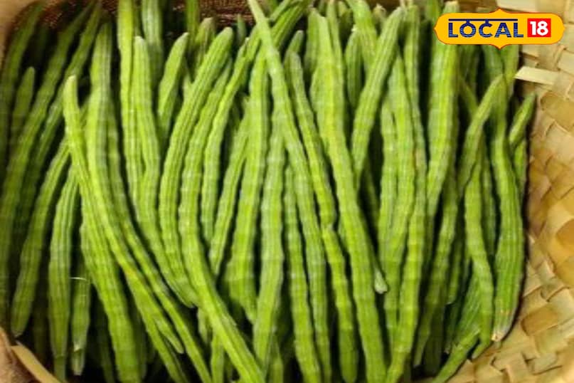 मोरिंगा के फायदे  मोरिंगा के फायदे