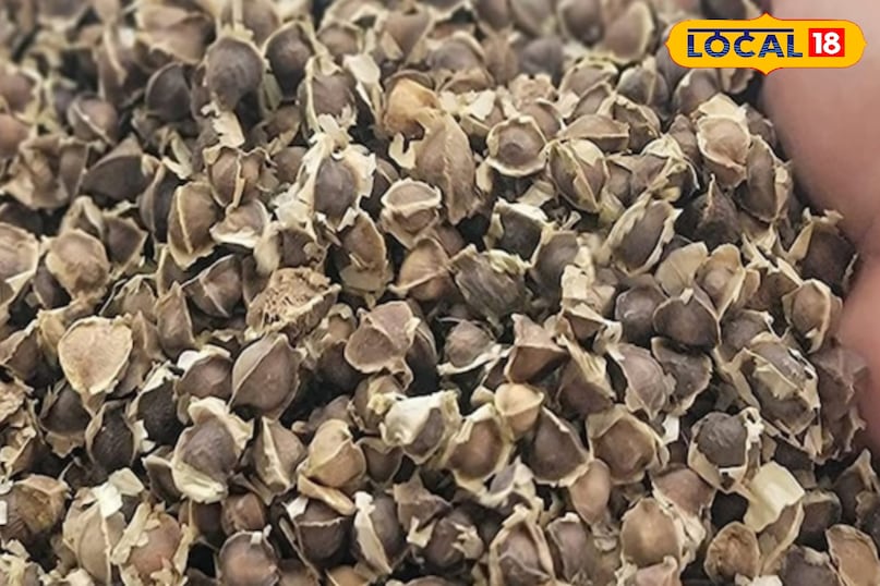 बीज का तेल  बीज का तेल