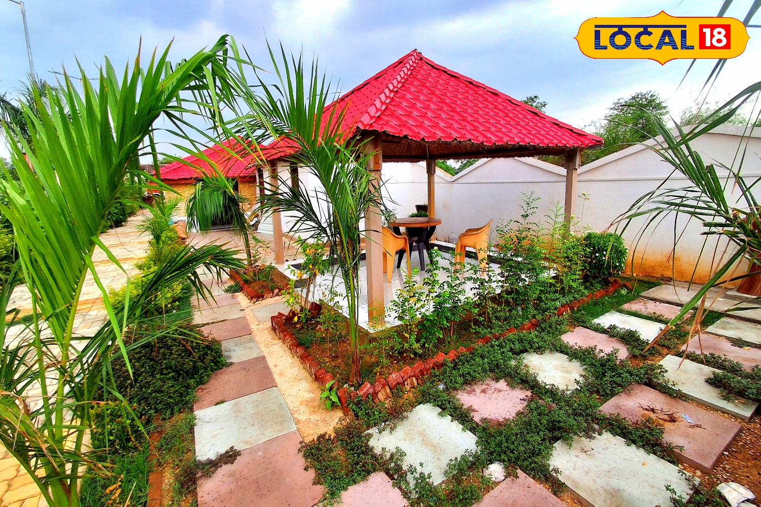 আর দেরি নয়, নভেম্বরে শীতের শুরুতেই লাগান গাদা-ডালিয়া, থোকা থোকা ফুলে ভরবে শখের বাগান আর দেরি নয়, নভেম্বরে শীতের শুরুতেই লাগান গাদা-ডালিয়া, থোকা থোকা ফুলে ভরবে শখের বাগান