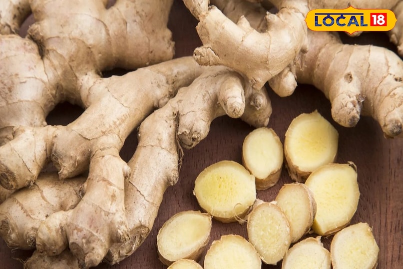 Moradabad news,hindi news,up news,local news, मुरादाबाद समाचार, हिंदी समाचार, यूपी समाचार, लोकल समाचार।