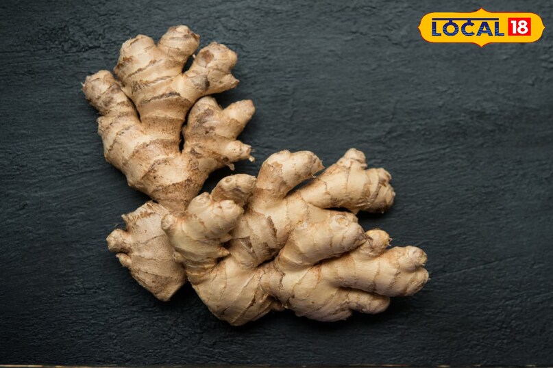 Moradabad news,hindi news,up news,local news, मुरादाबाद समाचार, हिंदी समाचार, यूपी समाचार, लोकल समाचार।