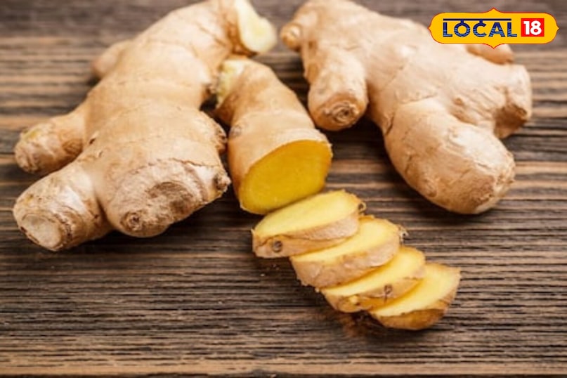 Moradabad news,hindi news,up news,local news, मुरादाबाद समाचार, हिंदी समाचार, यूपी समाचार, लोकल समाचार।