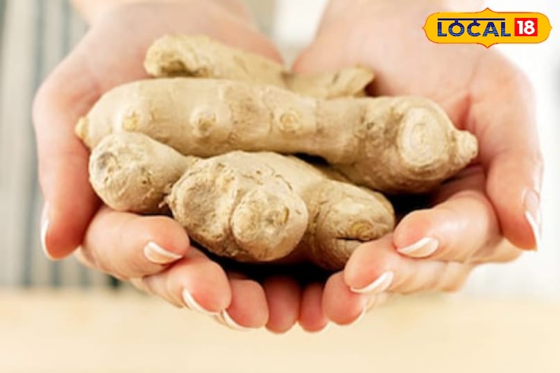 Moradabad news,hindi news,up news,local news, मुरादाबाद समाचार, हिंदी समाचार, यूपी समाचार, लोकल समाचार।