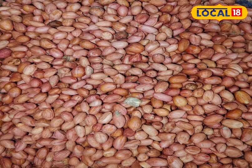 मूंगफली मूंगफली