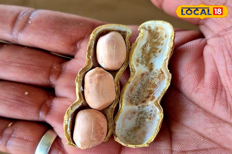 परहेज परहेज