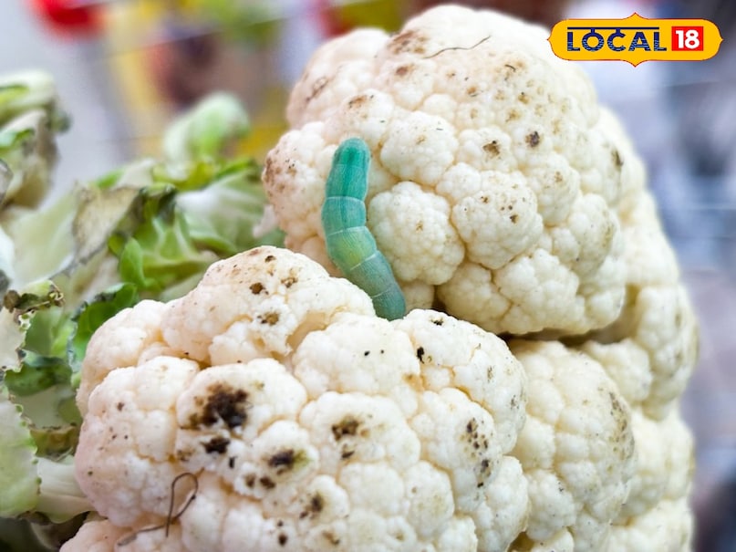 Tips and Tricks, Health Tips and Tricks, gobhi se kide nikalne ka tarika, gobhi se kida kaise nikale, band gobhi ka kida,How to remove Insects from cauliflower and cabbage in Hindi, How to remove Insects from cauliflower and cabbage, Cabbage worm, how to remove worm form cabbage, how to remove insects from cabbage, गोभी के कीड़े, गोभी के कीड़े कैसे निकालते हैं, How to clean cauliflower, How to clean cabbage with vinegar, How to clean cauliflower and cabbage