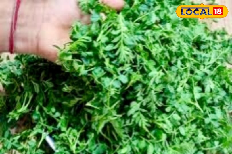 अब एक कढ़ाई में सरसों का तेल गरम करें. जब तेल गरम हो जाए तो उसमें हरी मिर्च और लहसुन डालकर सुनहरा होने तक भूनें. इसके बाद प्याज डालें और तब तक भूनें जब तक वह हल्का सुनहरा न हो जाए. अब टमाटर, नमक और हल्दी डालें और मसाले को अच्छी तरह पकाएं. जब तेल मसाले से अलग होने लगे, तब समझिए कि आपका तड़का तैयार है. यही तड़का साग के स्वाद को गहराई देता है.