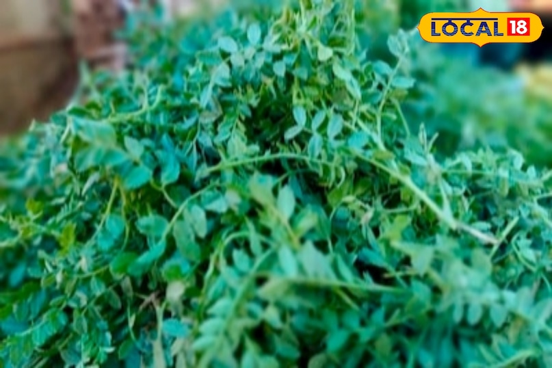 चने के साग में भरपूर मात्रा में आयरन, फाइबर और प्रोटीन पाया जाता है, जो इसे बेहद हेल्दी बनाता है. यह खून बढ़ाने, पाचन सुधारने और शरीर की रोग प्रतिरोधक क्षमता को मजबूत करने में मदद करता है. सर्दियों में जब शरीर सुस्ती महसूस करता है, तब यह साग ऊर्जा का बेहतरीन स्रोत बन जाता है. इसके नियमित सेवन से त्वचा में निखार आता है और बाल भी मजबूत होते हैं. सेहत के साथ स्वाद का यह संगम इसे खास बनाता है.