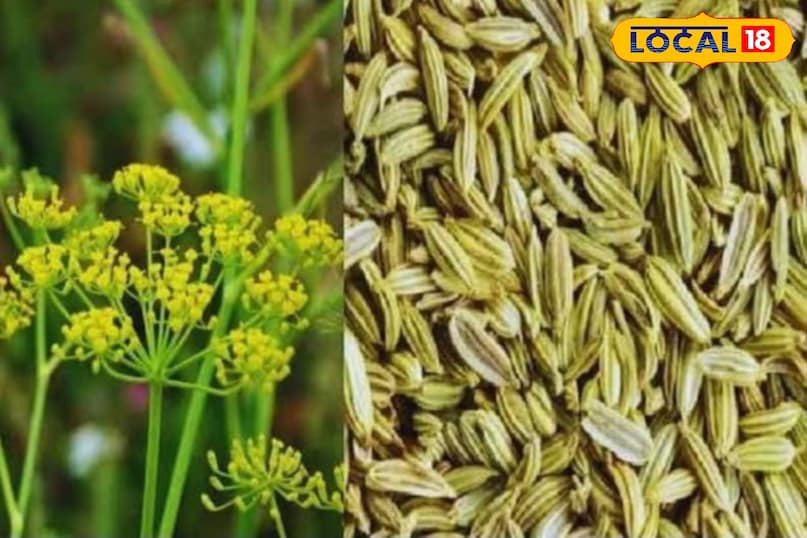 सौफ़ सौफ़