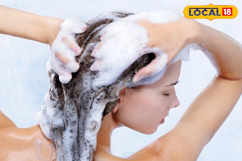 एक्सपर्ट्स की सलाह एक्सपर्ट्स की सलाह