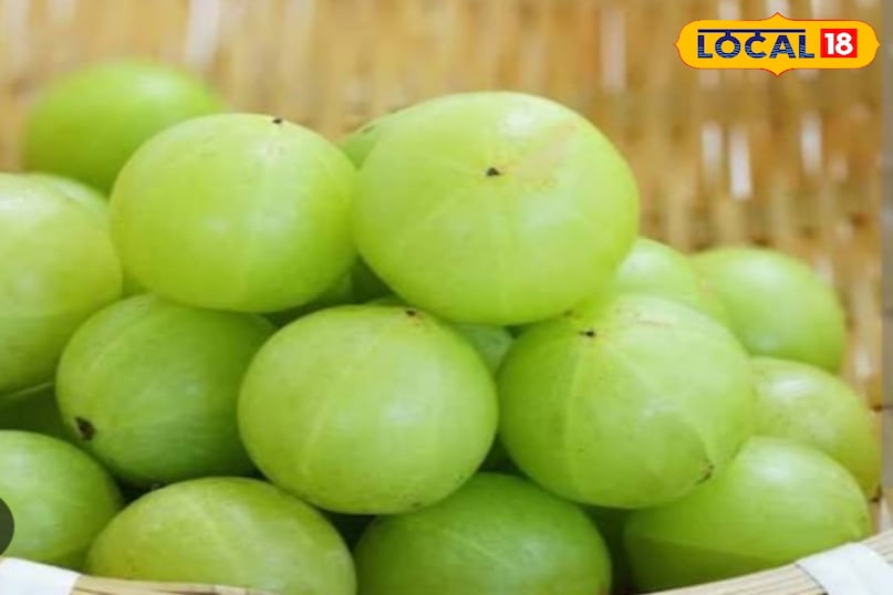 jelly receipe jelly receipe