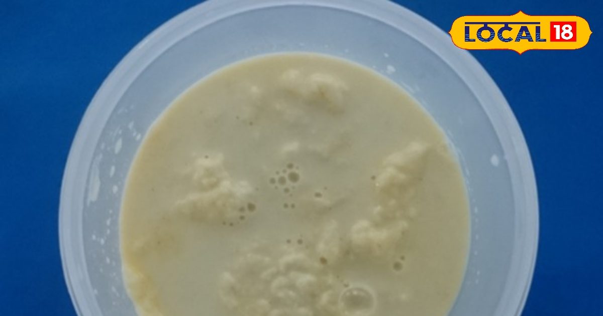 स्वादिष्ट, हेल्दी और शुगर-फ्री… अंडे से बनीं ये मिठाइयां बरेली में मचा रही हैं धूम, बच्चों और बड़ों के लिए हेल्दी ट्रीट स्वादिष्ट, हेल्दी और शुगर-फ्री… अंडे से बनीं ये मिठाइयां बरेली में मचा रही हैं धूम, बच्चों और बड़ों के लिए हेल्दी ट्रीट