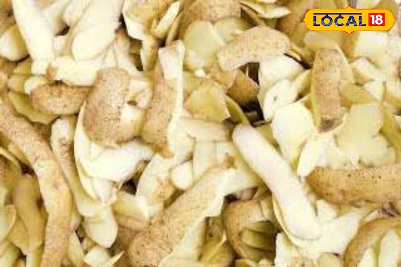 आलू छिलका 