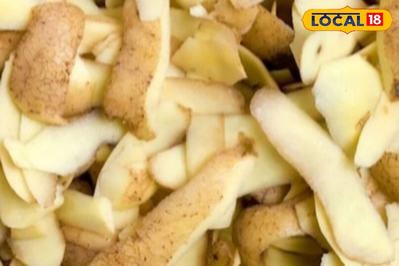 आलू छिलका 