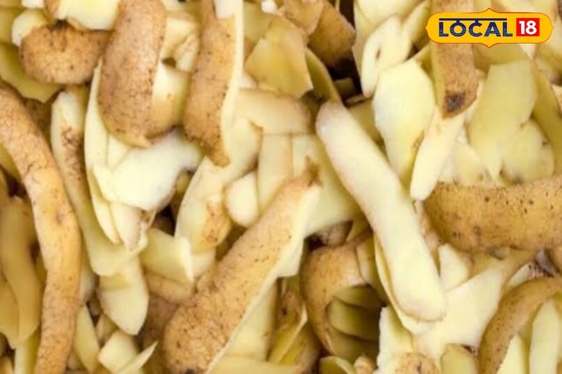 आलू छिलका 